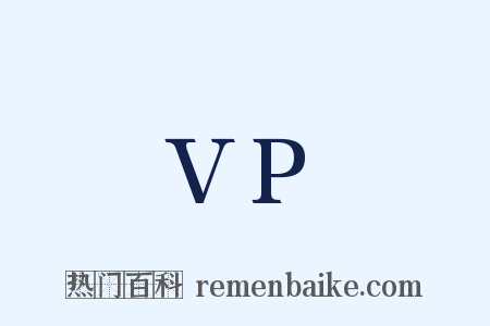 VP是什么意思的图片